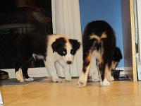 04 02 2015,215752 IMG 0019