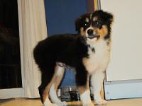 04 02 2015,215757 IMG 0020