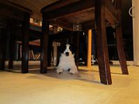 04 02 2015,215852 IMG 0021