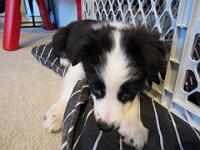 04 03 2015,072436 IMG 0029