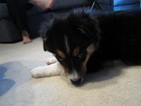 04 03 2015,072625 IMG 0035