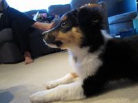 04 03 2015,072628 IMG 0036