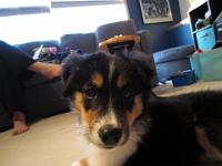 04 03 2015,072630 IMG 0037