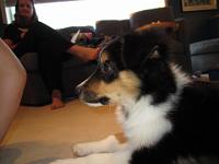 04 03 2015,072634 IMG 0038