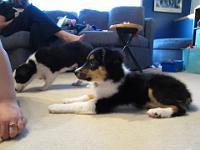 04 03 2015,072656 IMG 0042