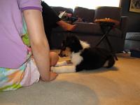 04 03 2015,072730 IMG 0043