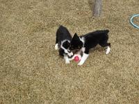 04 03 2015,130411 IMG 0051