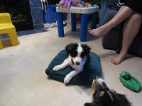 04 03 2015,194818 IMG 0059