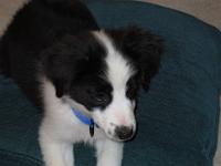 04 03 2015,194843 IMG 0062