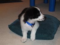 04 03 2015,194904 IMG 0064