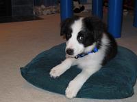 04 03 2015,194926 IMG 0065