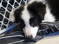 04 03 2015,195003 IMG 0068