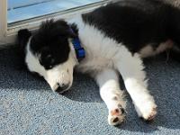 04 05 2015,091355 IMG 0079