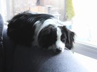 05 05 2016,191159 IMG 0030