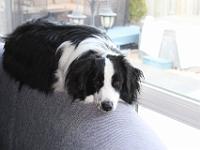 05 05 2016,191212 IMG 0032