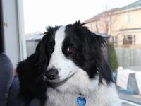 05 05 2016,191224 IMG 0034