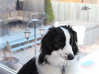 05 05 2016,191236 IMG 0036