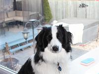 05 05 2016,191244 IMG 0038