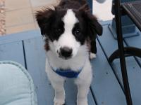 05 16 2015,180549 IMG 0005