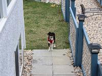 05 16 2015,180552 IMG 0007