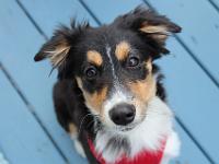 05 16 2015,180605 IMG 0016