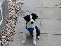 05 16 2015,180716 IMG 0024