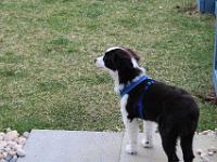 05 16 2015,180724 IMG 0028