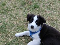 05 16 2015,180735 IMG 0032