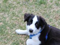 05 16 2015,180740 IMG 0035