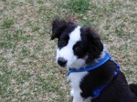 05 16 2015,180757 IMG 0039