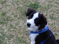 05 16 2015,180757 IMG 0040