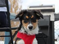 05 16 2015,180844 IMG 0050