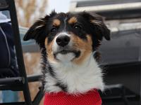 05 16 2015,180849 IMG 0052