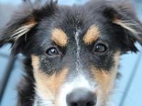 05 16 2015,180920 IMG 0054