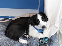 05 16 2015,181005 IMG 0060