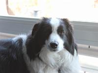 05 16 2018,181227 IMG 0092