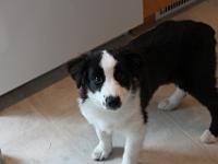 05 18 2015,120002 IMG 0069