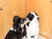 05 18 2015,120049 IMG 0080