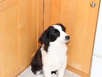 05 18 2015,120051 IMG 0081