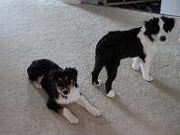 05 25 2015,081345 IMG 0112