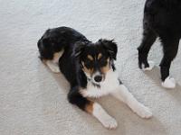 05 25 2015,081350 IMG 0113