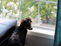 05 26 2015,191226 IMG 0120