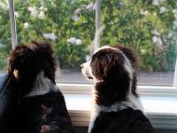 05 26 2015,191247 IMG 0121