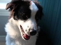 05 26 2015,191256 IMG 0127