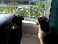 05 26 2015,191311 IMG 0138