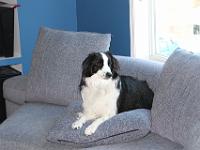 06 04 2016,182102 IMG 0039