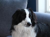 06 04 2016,182111 IMG 0041