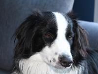 06 04 2016,182117 IMG 0043