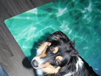 06 04 2016,182131 IMG 0046