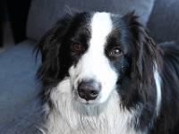 06 04 2016,182133 IMG 0047